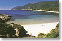 Spiaggia, Isola d'Elba